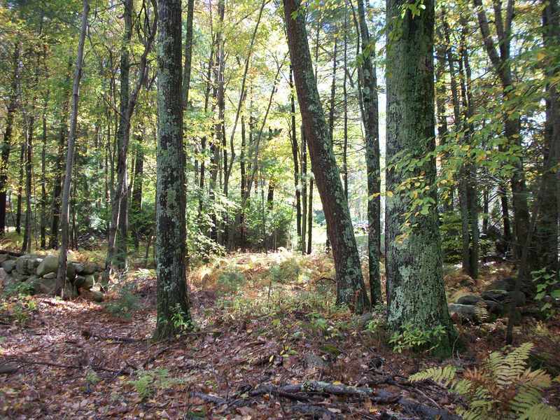 Winchendon, MA Natural Landscape in the Fall 2010 photo, picture