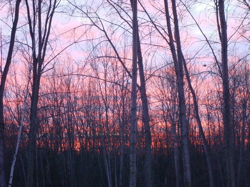 Suamico, WI: Cold, bare, yet inviting