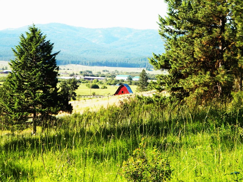 New Meadows, ID: View of New Meadows from the White Ranch