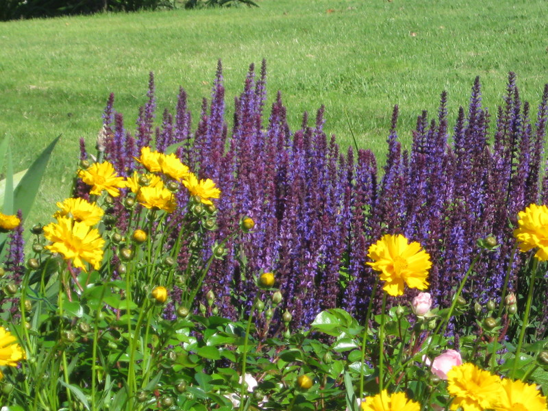 Echo, OR: flower garden at Echo Hills Golf Course