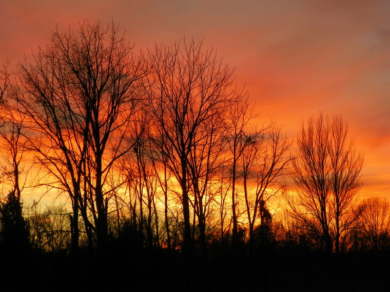 Heber Springs, AR glorious sunset in heber springs arkansas photo