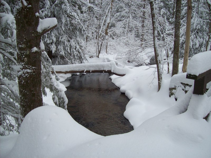 Simsbury, CT: Stratton Brook State Forest