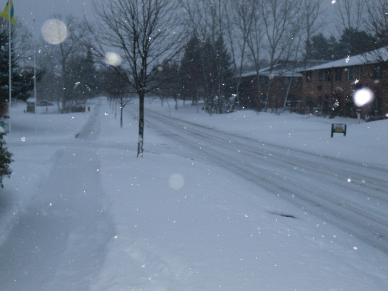 Medina, OH: Snow stormy night on Spring Brook Drive