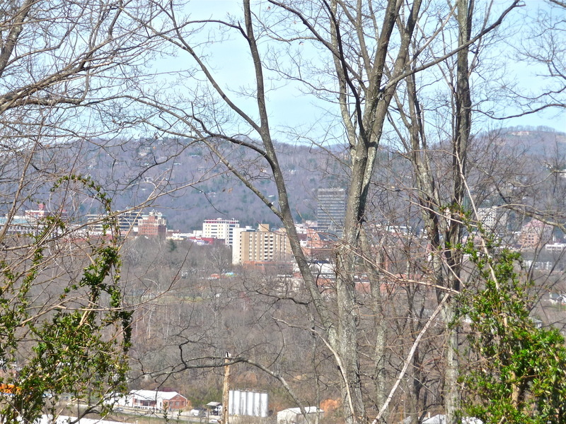 Asheville, NC: View Of Dwntn from Riverview Drive in W.Avl