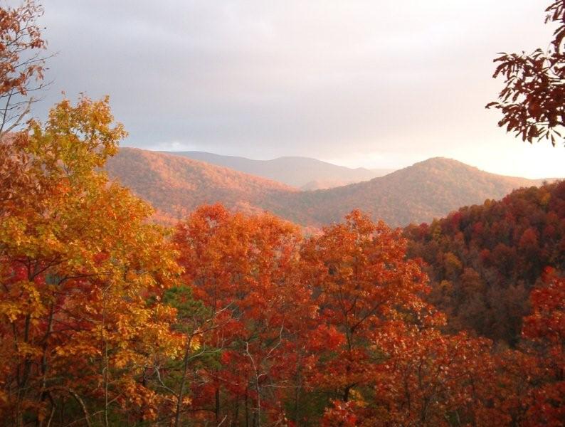 Elkton, VA Fall in the Blue Ridge Mountains photo, picture, image
