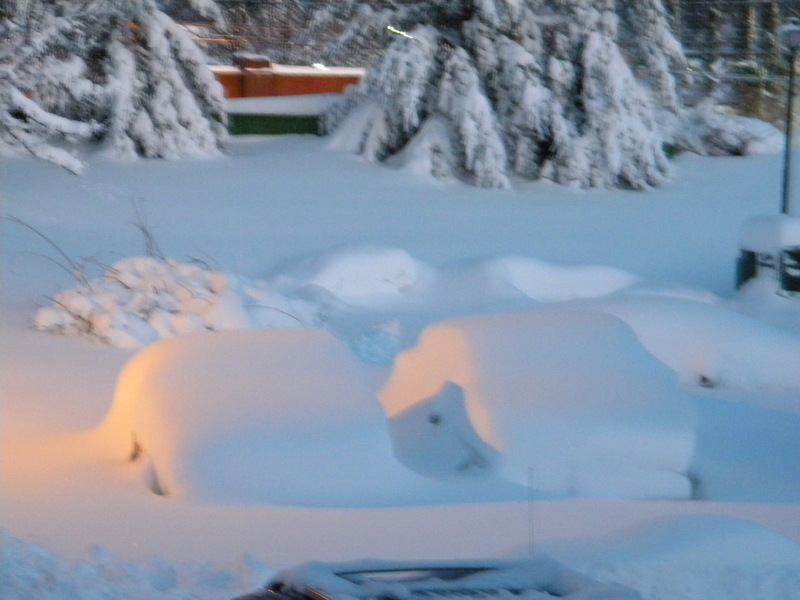 Edmonston, MD: Cars in parking lot at Elizabeth Landing