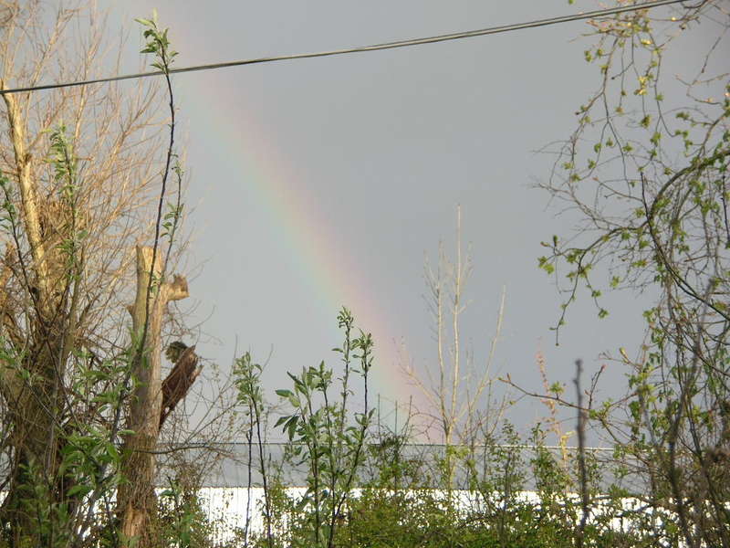 Georgetown, IN: rainbow in georgetown