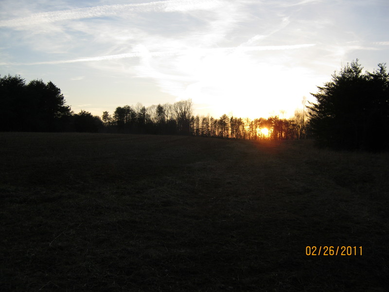 Stokesdale, NC: Winter Sun Set