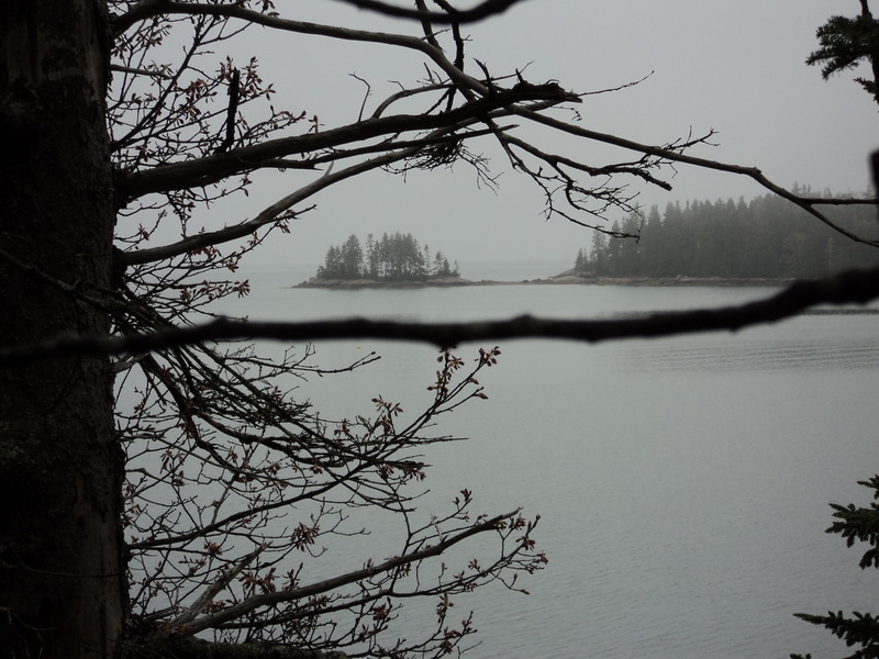 Deer Isle, ME: from the obseration deck @ haystack school.