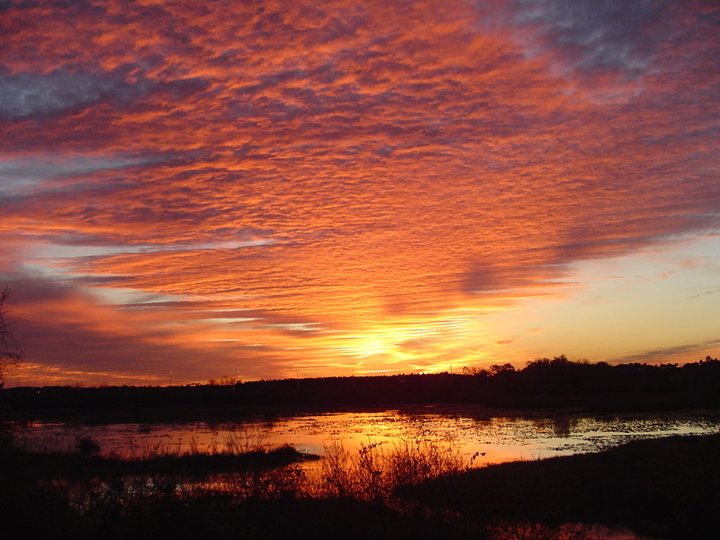 Ocoee, FL: Sunset on Lake Lilly