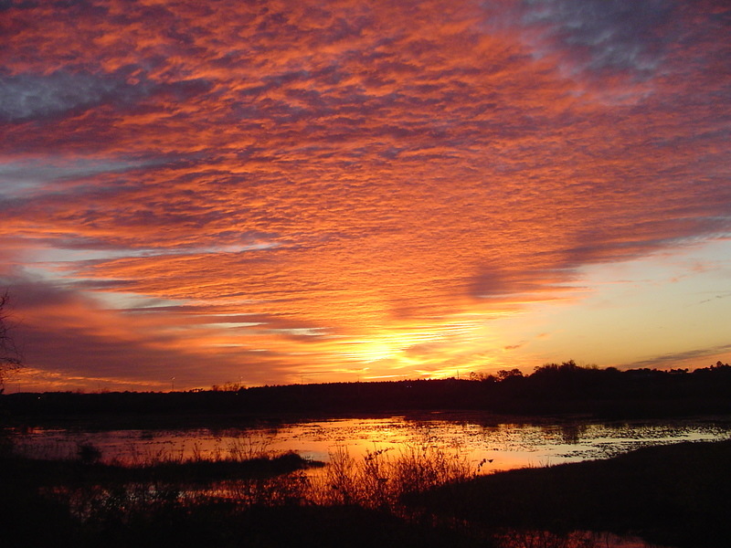 Ocoee, FL : Sunset on Lake Lilly photo, picture, image (Florida) at ...