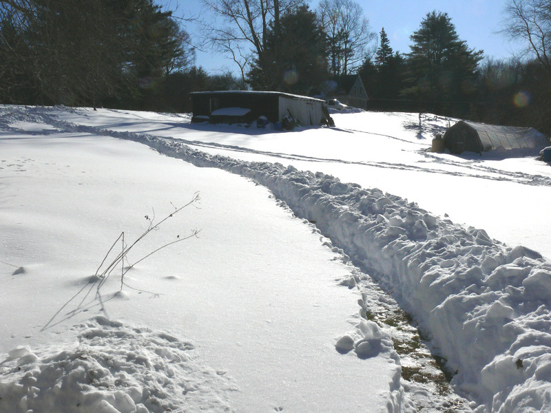 Voluntown, CT: Snow 12 21 09