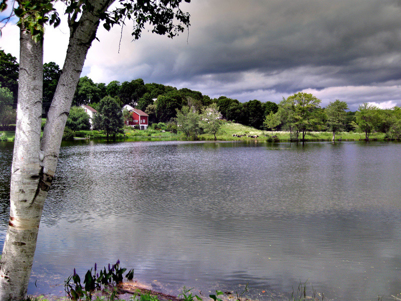 Stafford, CT: Mill Pond (behind the Mill Pond Store)