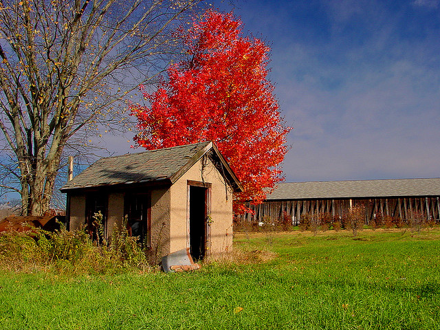Enfield, CT: Shed and Tobacco Barn (Broadbrook Rd. Enfield, CT)