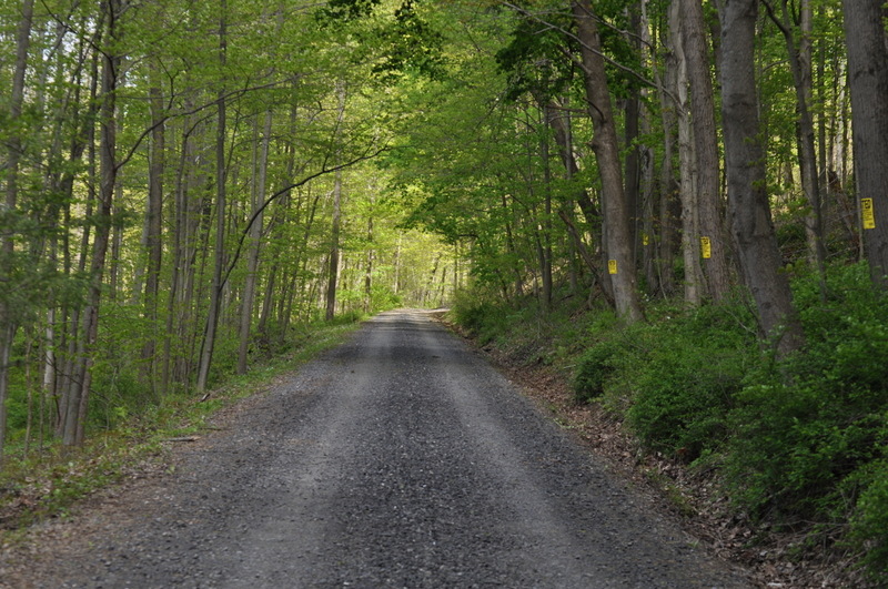 Reedsville, PA: Old Railroad-Beautiful walking trail