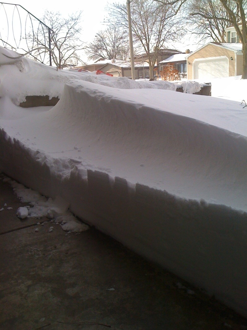 Carol Stream, IL: So much snow.