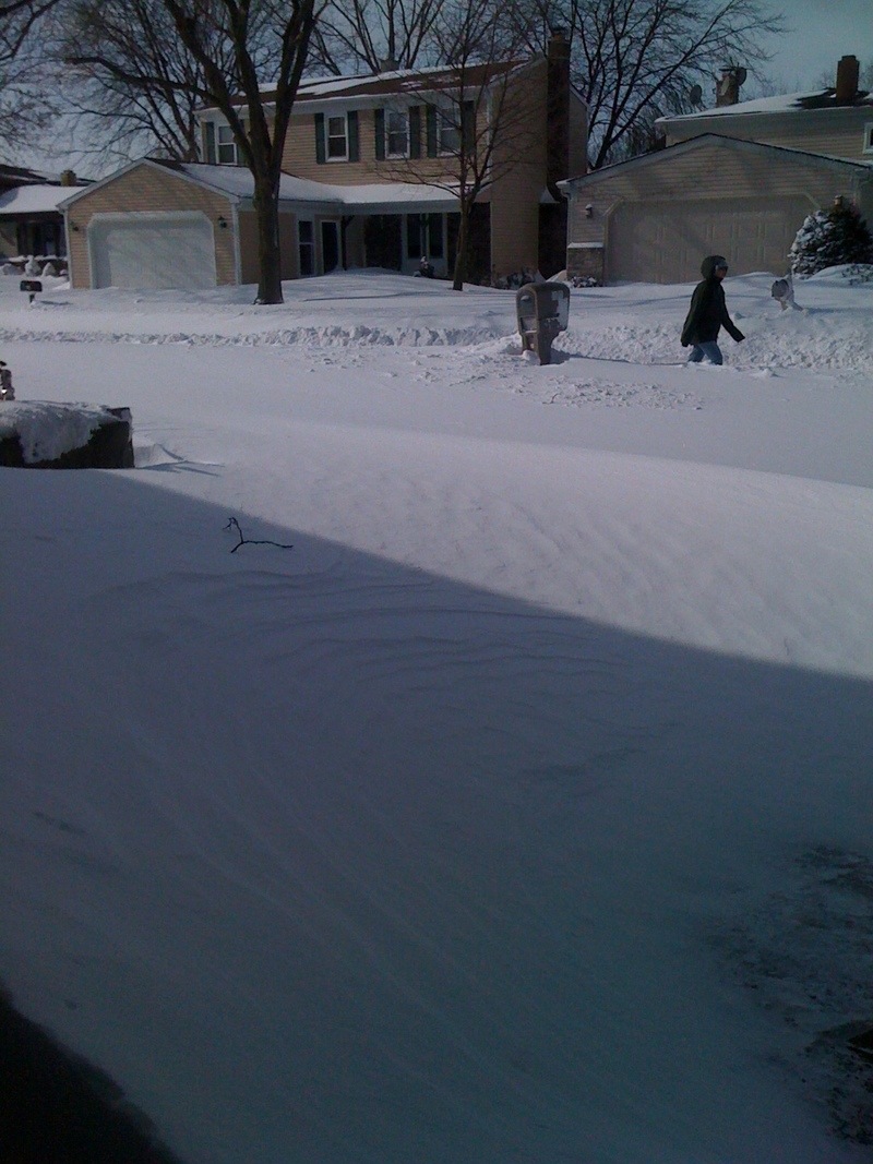 Carol Stream, IL: Snow.