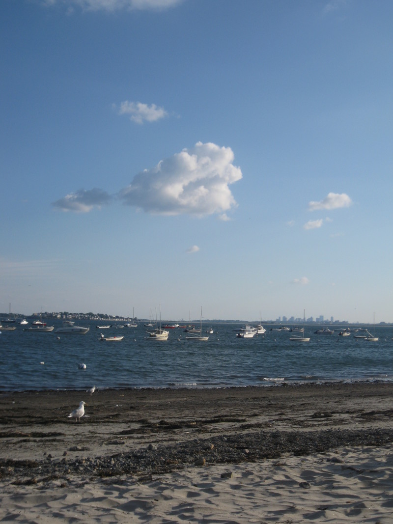 Swampscott, MA: Boston Skyline from Fisherman's Beach