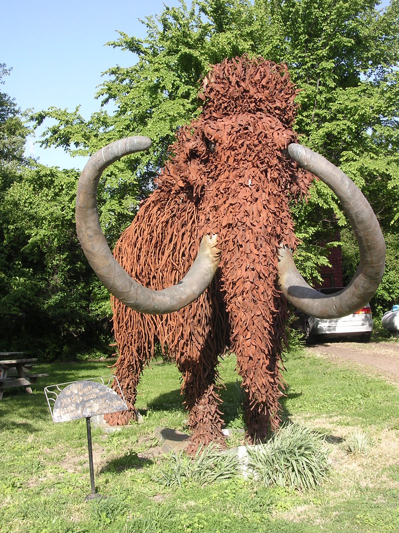 Fossil, OR: Wooly Mammoth in Fossil, Oregon