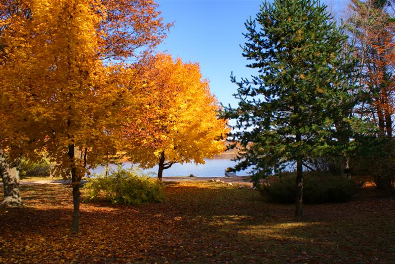 Scottville, MI: Small Lake in Fall, Scottville, MI