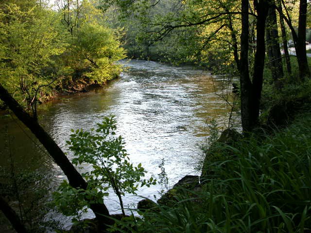Murphy, NC: Valley River at the base of Burnt Branch Overlook in Marble, N.C.