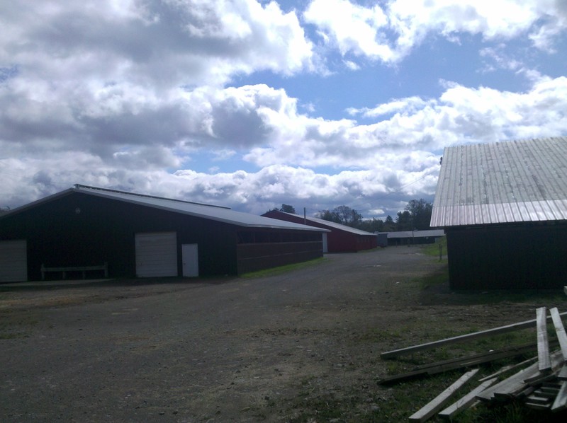 Pike, NY: horse barns in the fair grounds 2011