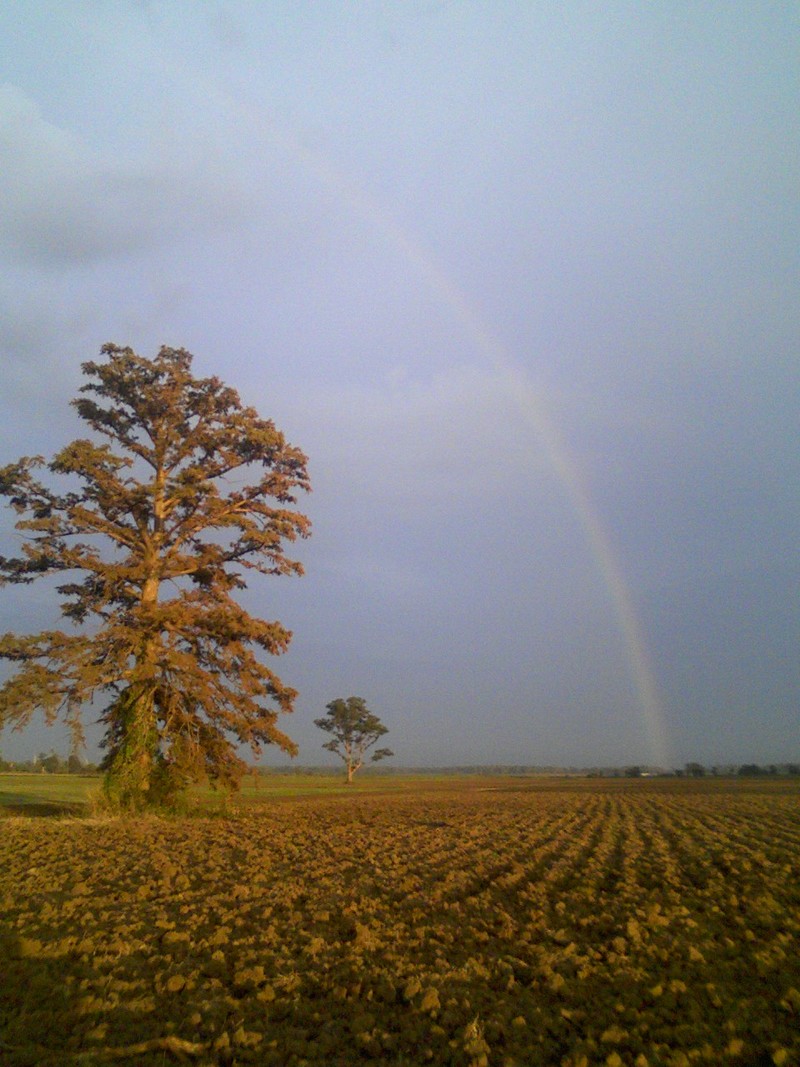 Joiner, AR: back side of town