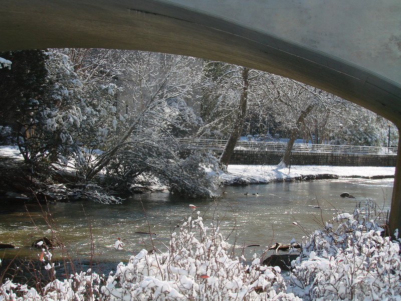 Greenville, SC Greenville SC Does Get Snow... Every Once In A While