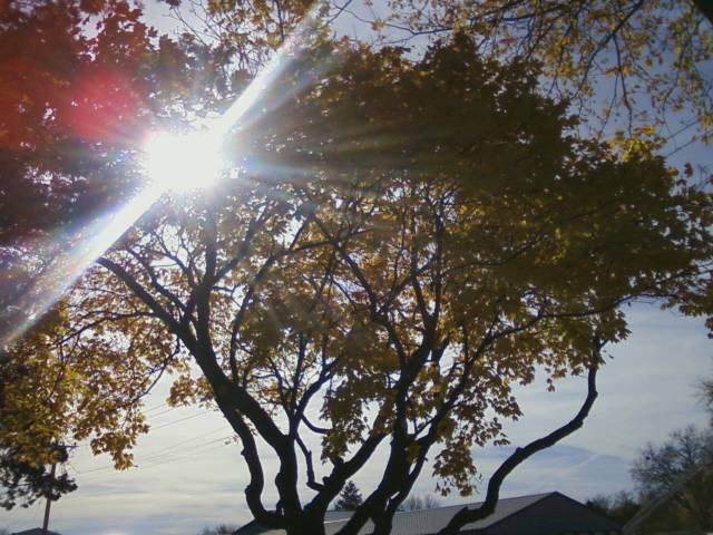 Wenona, IL: Autumn sun through the trees on Oak Street