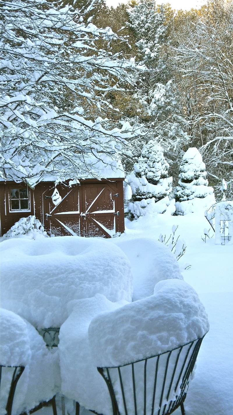 Westhampton, MA RECORD OCTOBER SNOW 19.3" photo, picture, image