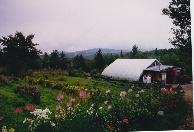 Sweden, ME: View from Treehouse Farm Greenhouses on Ledge Hill Road, Sweden, Maine