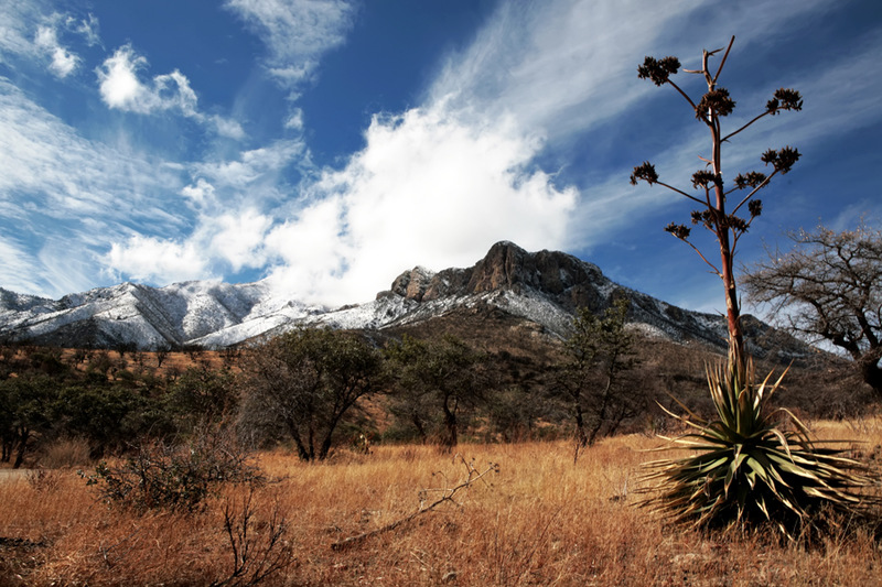 Sierra Vista, AZ: Huachuca Mountains, Miller Canyon Rd.