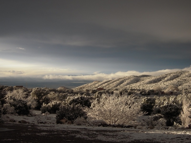 Placitas, NM: Snowy day in the Winter of 2010