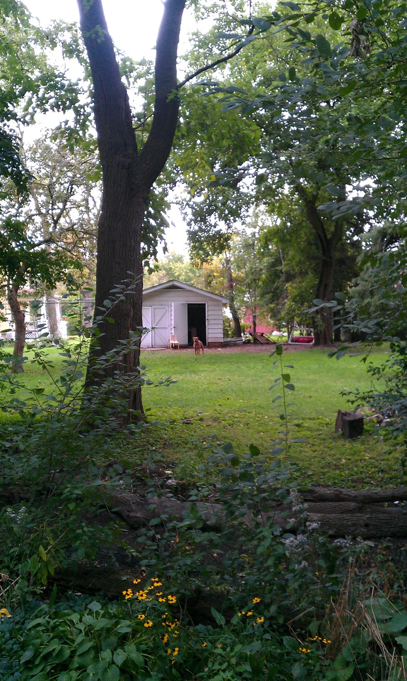 Streamwood, IL: a backyard view
