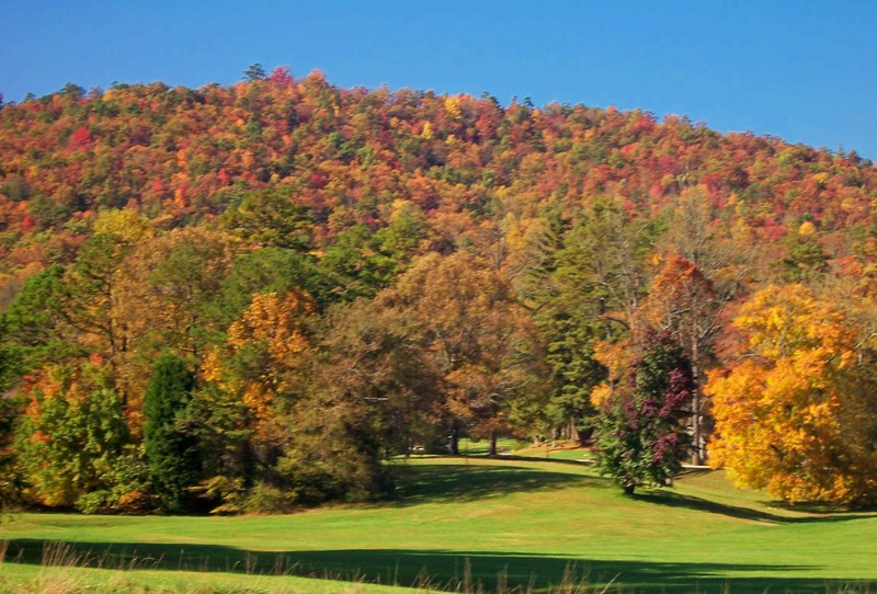 Brevard, NC: Fall In Brevard