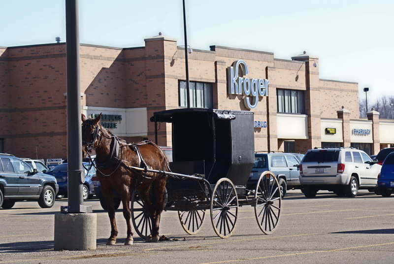 Mount Vernon, OH: Amish buggie in Krogers parking lot