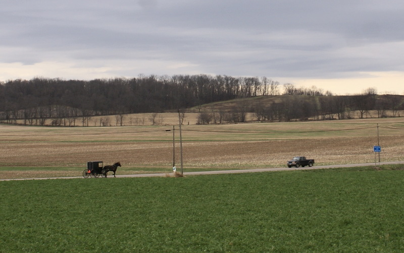Mount Vernon, OH: Amish buggie headed to town