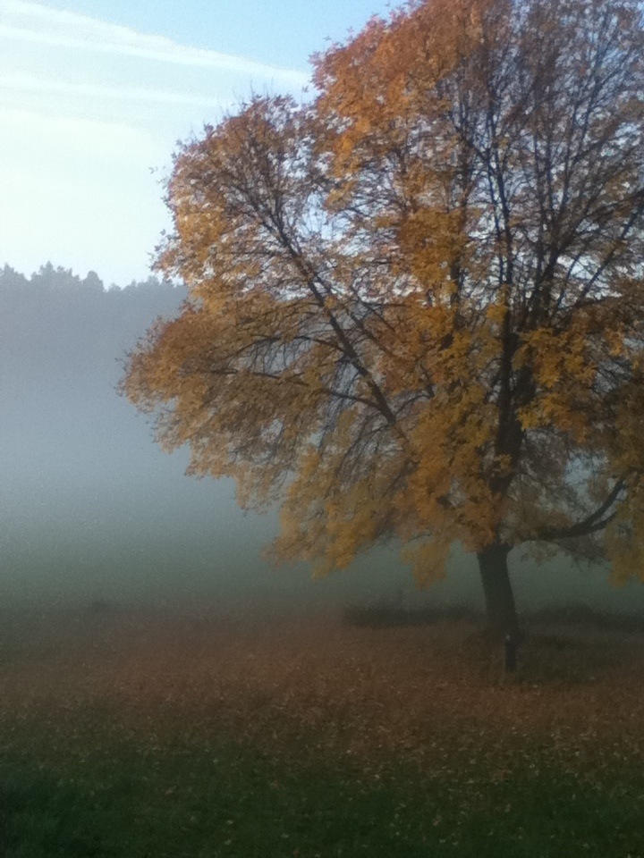 Victor, NY: Misty fall morning in Victor, NY