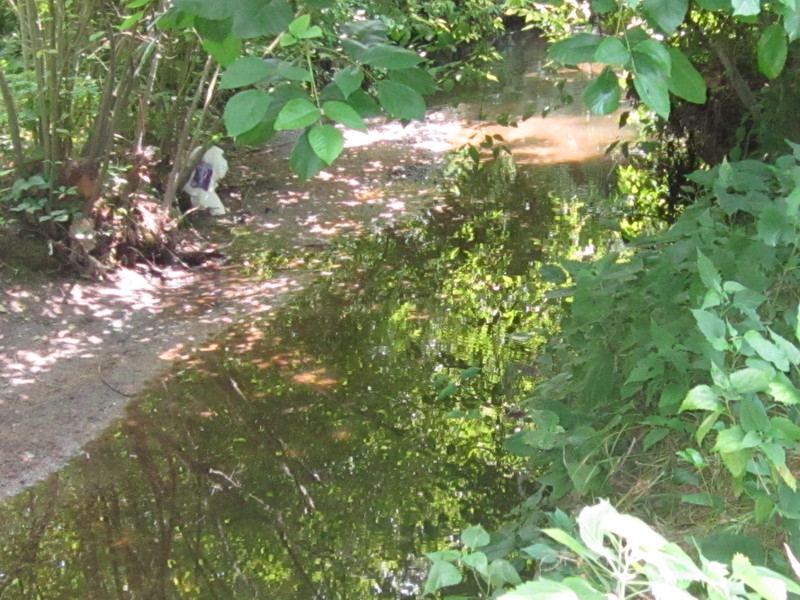 Berlin, NJ: THE EGG HARBOR RIVER BERLIN PARK BERLIN NJ