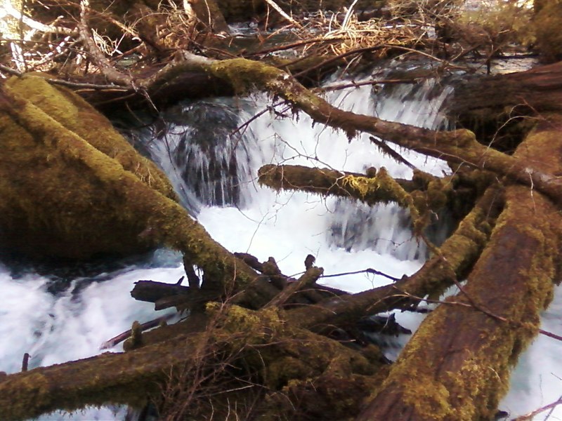 Shady Cove, OR Falls photo, picture, image (Oregon) at