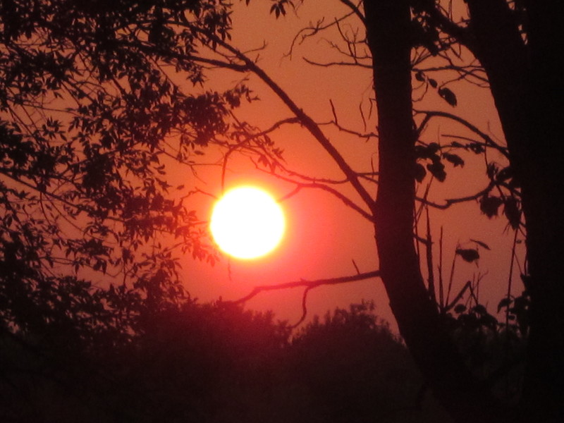 Coal Hill, AR: sunrise from my yard in coal hill