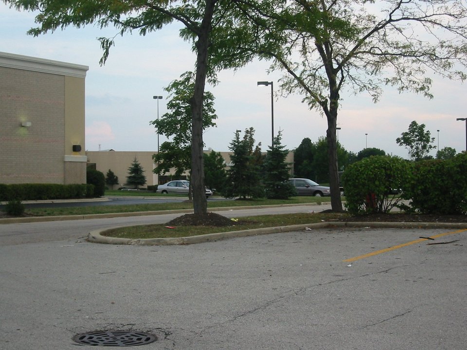 Bloomingdale, IL: around Stratford Square Mall by McDonalds and TacoBell