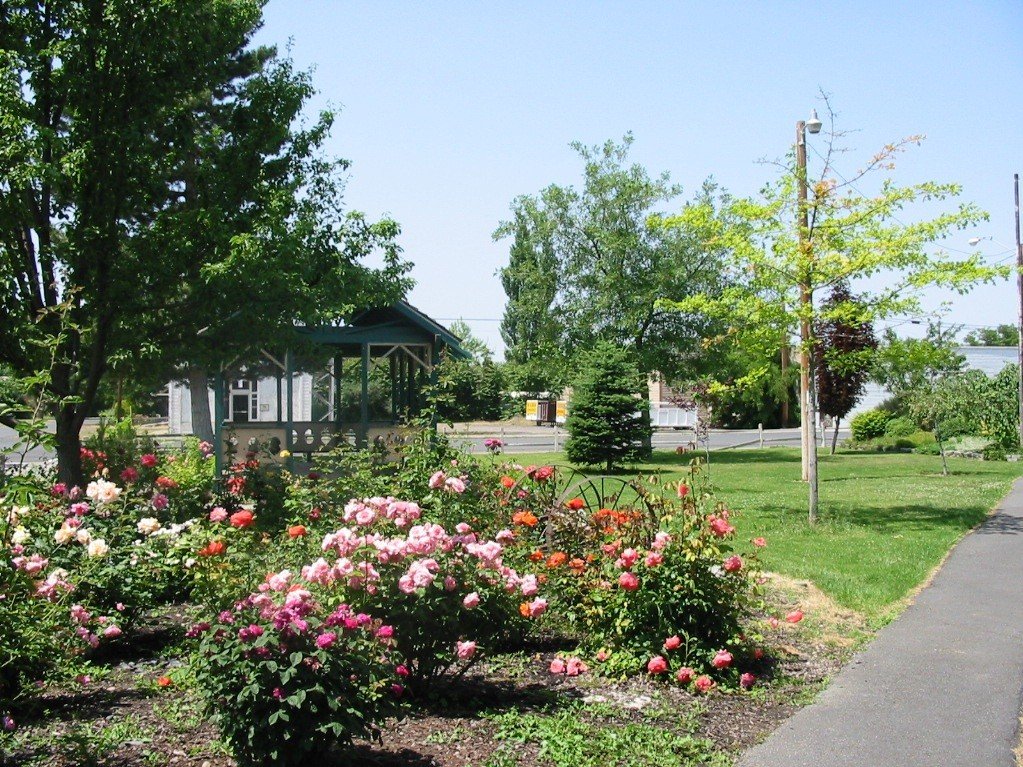 Echo, OR: One of Echo, Oregon Parks, the gazebo is often used for weddings