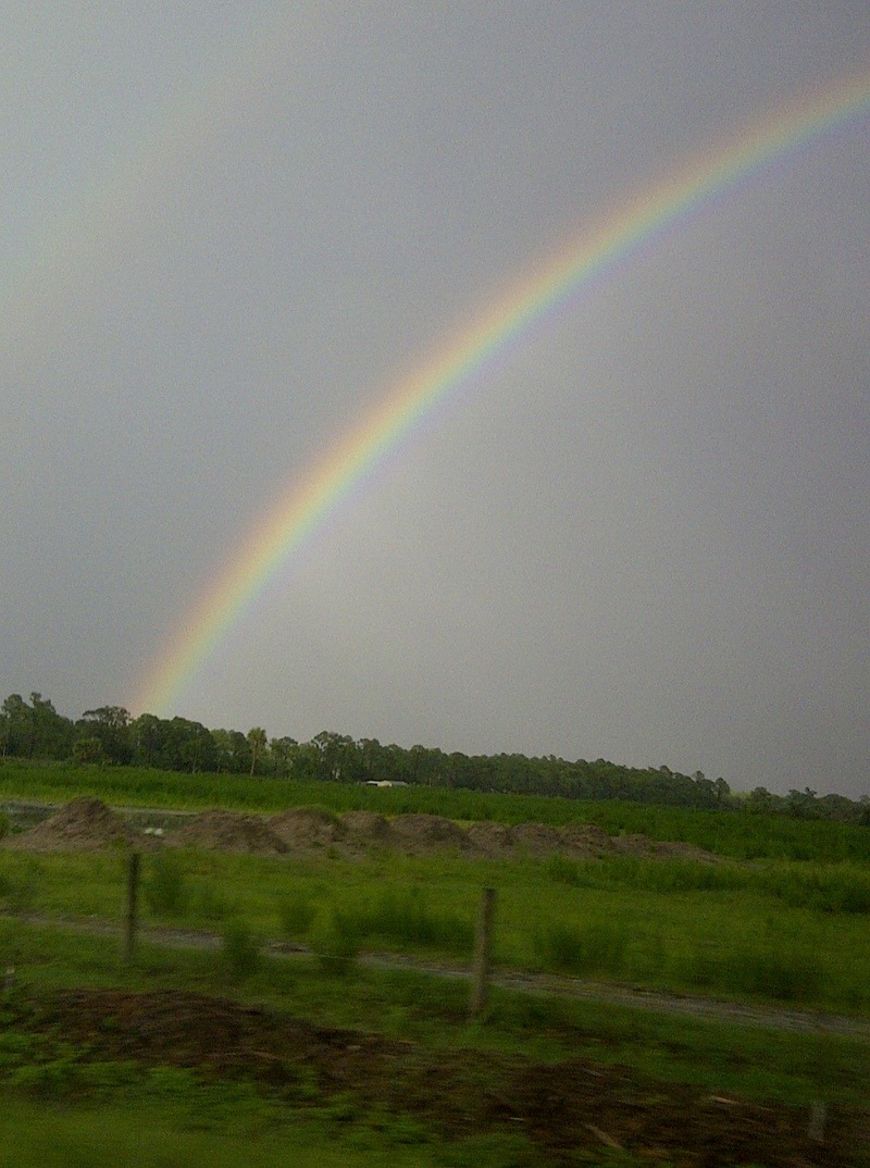 Stuart, FL: Pretty Rainbow