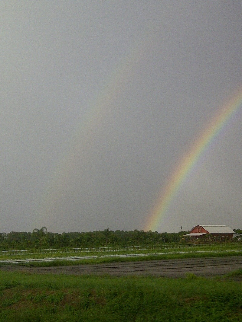 Stuart, FL: Double Rainbow