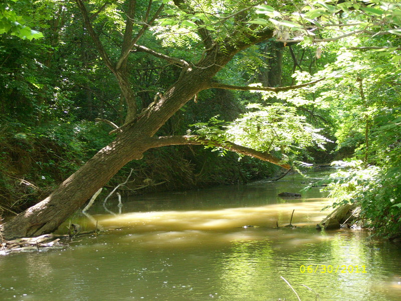 Ste. Genevieve, MO: A view of the South Gabouri Creek on a summer morning