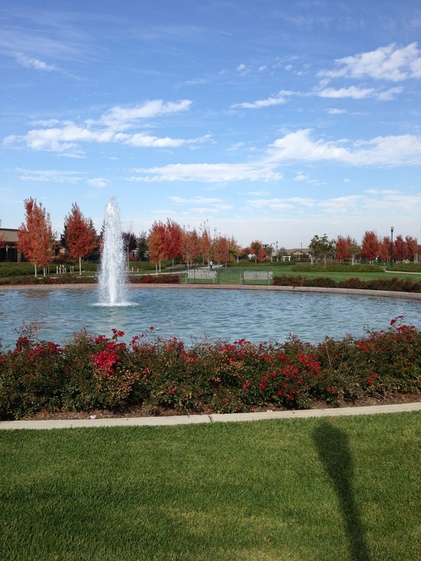 Elk Grove, CA Park by Whitelock Parkway! photo, picture, image