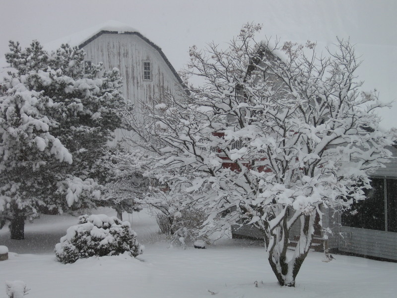 Chaska, MN: Winter Wonderland