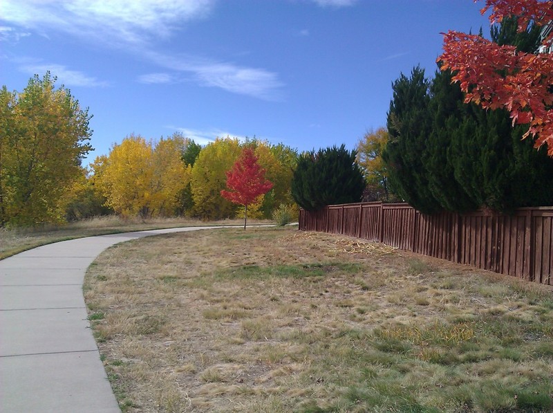 Stonegate, CO: Fall day in Stonegate