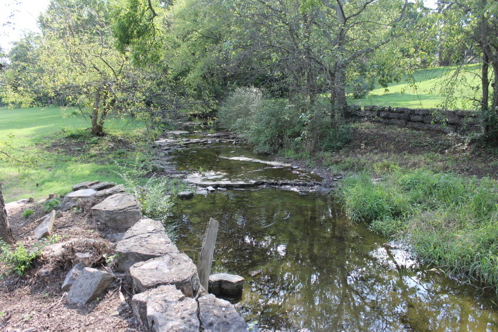 Franklin, TN: Nature Scene in Sullivan Farms Subdivision in Franklin TN